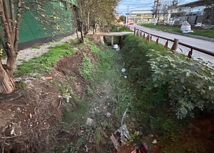 Chale: «Aparecen las grandes falencias de la obra de desagües en la zona Norte del túnel Moreno»
