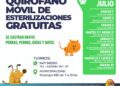 El Quirófano Móvil Municipal estará todos los sábados de julio en la Plaza San Martín