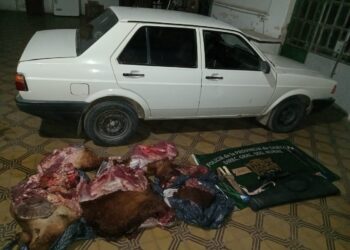 “Los Pumas” de la ciudad de San Justo esclareció un hecho de abigeato