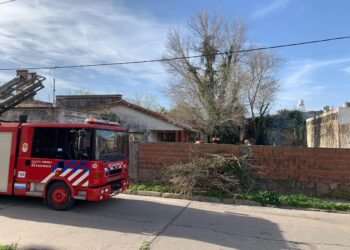 Cañada de Gómez: una quema en un patio tomó una enredadera provocando incendios propagándose a vecinos
