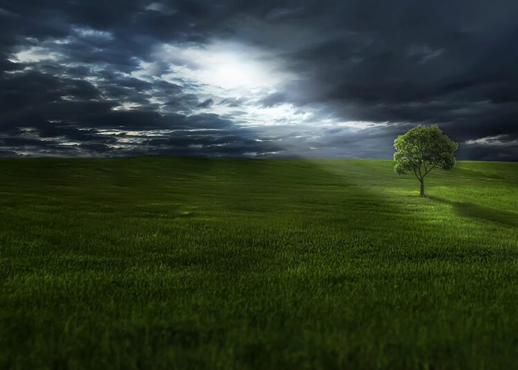 Un Día Azul – Por Miguel Gutiérrez