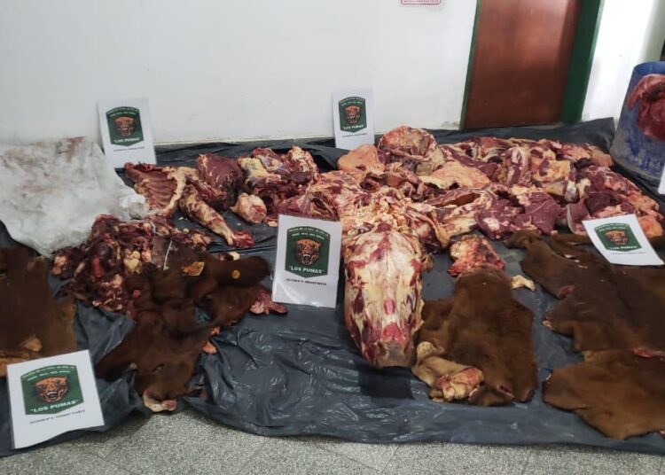 Los Pumas de la Sección Nº 8 de Venado Tuerto esclarecieron un importante hecho de ABIGEATO