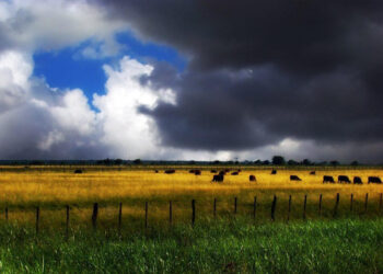 La triste coincidencia de Argentina y Ucrania