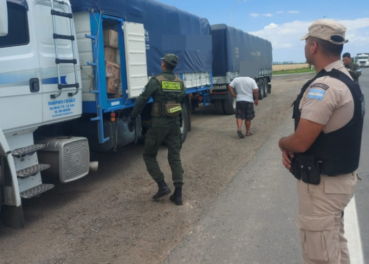 Conductor de un camión trasladaba medicamentos sin aval aduanero