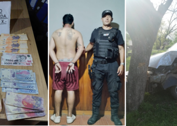 Oliveros: Robó en un comercio, huyó en la camioneta del propietario y chocó contra un árbol