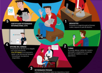 Cinco pasos clave a tener en cuenta para poder viajar al exterior con tu mascota