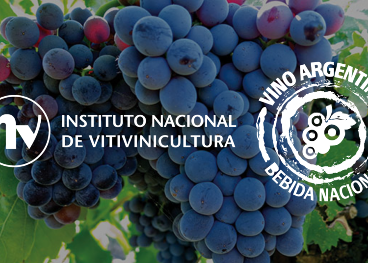 En el día del Vino Argentino Bebida Nacional : Anuario Cosecha 2023