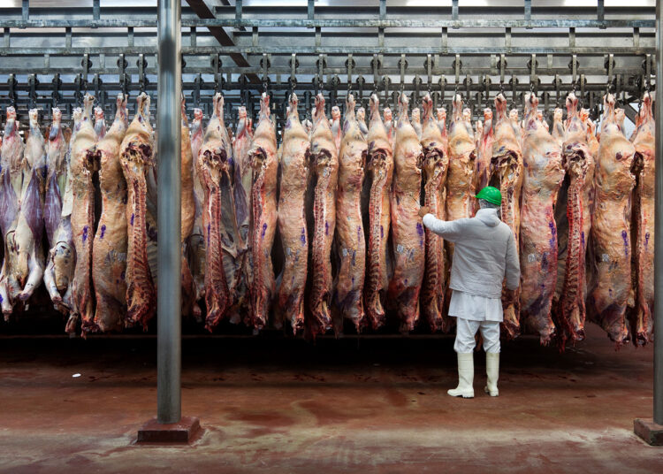 Se podrán exportar cortes bovinos preferidos frescos, enfriados o congelados