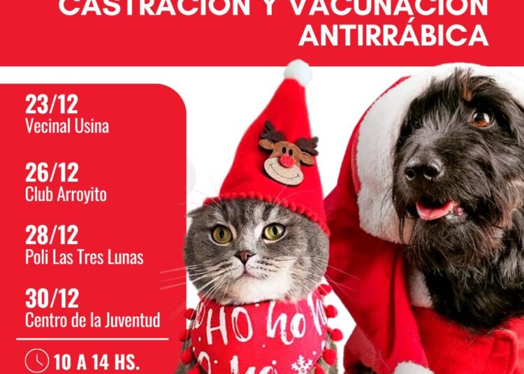 El gobierno municipal comunica las próximas jornadas gratuitas de castración y vacunación antirrábica