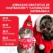 El gobierno municipal comunica las próximas jornadas gratuitas de castración y vacunación antirrábica
