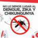 Dengue: La municipalidad de Cañada de Gómez intensifica las tareas de prevención