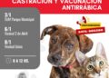 La Municipalidad de Cañada de Gómez realizará 3 nuevas jornadas de castraciones y vacunación antirrábica