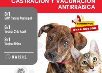 La Municipalidad de Cañada de Gómez realizará 3 nuevas jornadas de castraciones y vacunación antirrábica