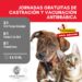 La Municipalidad de Cañada de Gómez realizará 3 nuevas jornadas de castraciones y vacunación antirrábica