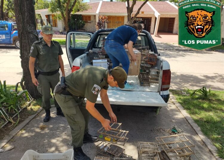 “Los Pumas” de Las Rosas procedieron al resguardo de animales de la Fauna Silvestre comercializados por un parenjense
