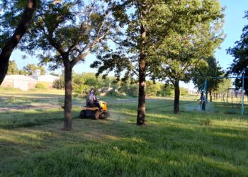 La Municipalidad de Cañada de Gómez continúa con los trabajos de desmalezamiento