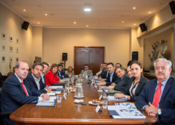 Petri y Bullrich mantuvieron la primera reunión interministerial de Defensa y Seguridad en el Edificio Libertador