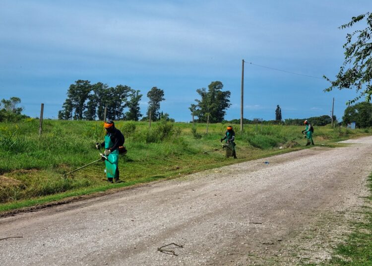 La Municipalidad de Cañada de Gómez realiza trabajos de desmalezamiento en Barrio Quique