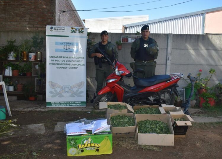Un allanamiento en Melincué y cinco en la ciudad de Venado Tuerto vinculados a la comercialización de estupefacientes