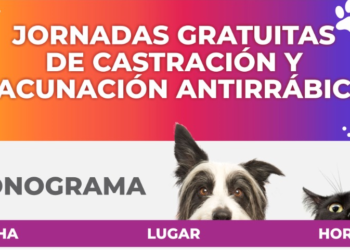Cañada de Gómez: Cronograma de vacunación antirrábica y castraciones para abril