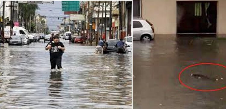 La mentira populista – Por José Mayero