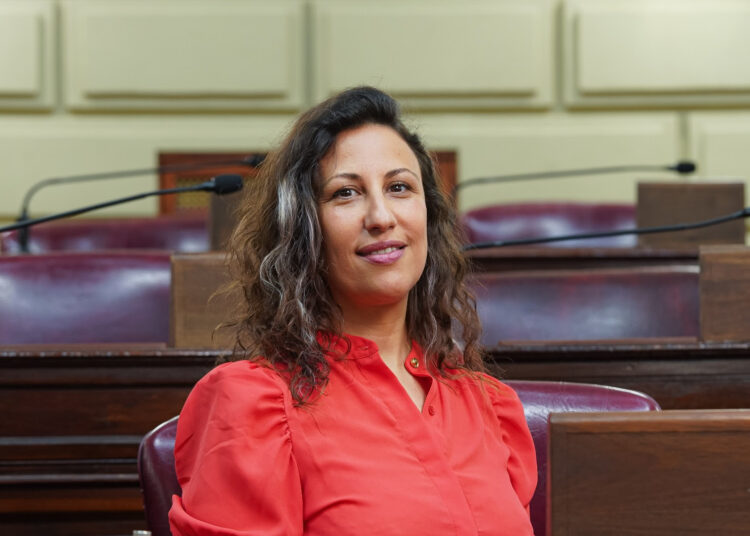 La diputada socialista Varinia Drisun denuncia desfinanciamiento del sistema nacional de salud pública