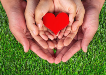 Día Nacional de la Donación de Órganos: en lo que va del año se realizaron más de 1.500 trasplantes