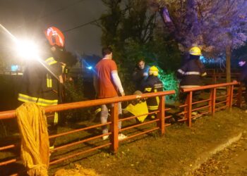 Cañada de Gómez: Una mujer de 81 años cayó al arroyo cuando intentaba rescatar a su perro