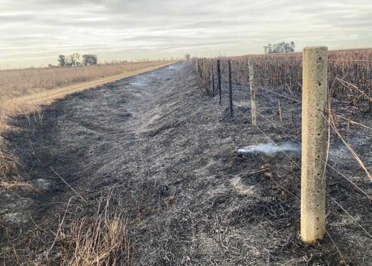 Montes de Oca: Incendio de rastrojo de sorgo en la zona rural