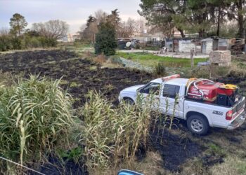 Cañada de Gómez: Incendio de un cañaveral y pastizales