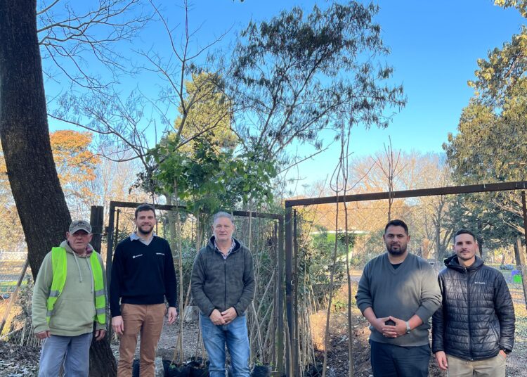 La municipalidad de Cañada de Gómez continúa con el plan de forestación