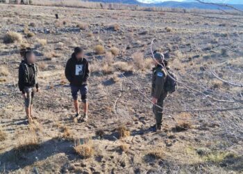 Intentaban ingresar al país desde Chile ilegalmente con estupefaciente