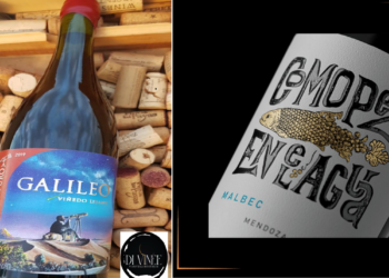 Di Vinée Vinoteca Boutique invita a descubrir los dos secretos vinícolas seleccionados para agosto