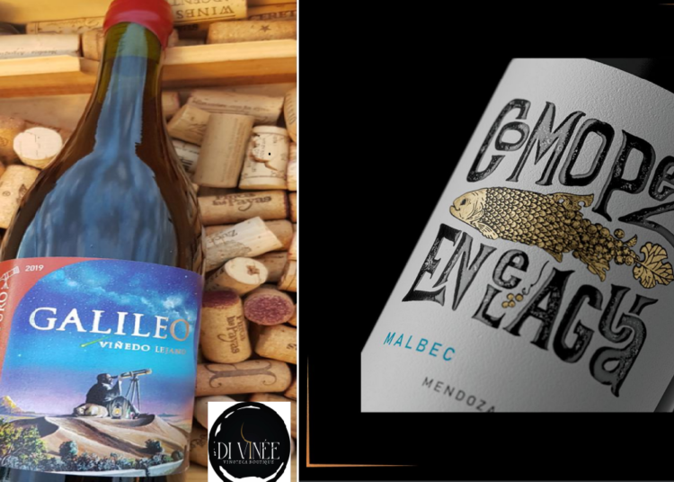 Di Vinée Vinoteca Boutique invita a descubrir los dos secretos vinícolas seleccionados para agosto