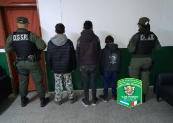 Los Pumas de Venado Tuerto aprehendieron a tres menores por el robo de dos caballos