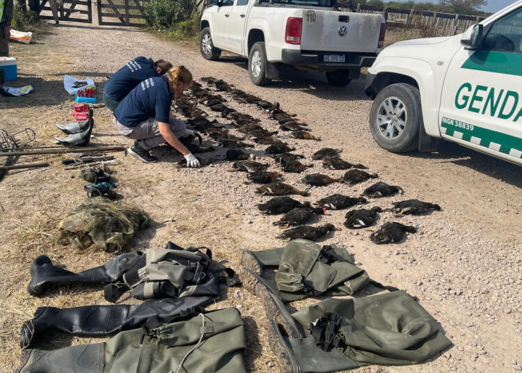 Cazadores extranjeros: la justicia falló a favor de la provincia