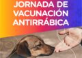 La municipalidad de Cañada de Gómez realiza una campaña gratuita de vacunación antirrábica para perros y gatos