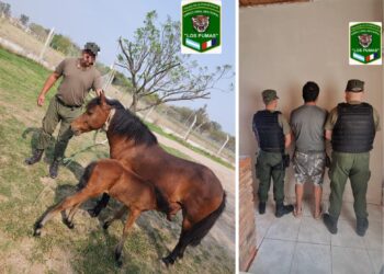 Cañada de Gómez: Un hombre fue reducido y aprehendido tras agredir a efectivos de Los Pumas