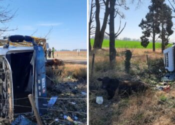 Firmat: Los Pumas de Puesto Fijo prestaron colaboración tras un accidente de Tránsito