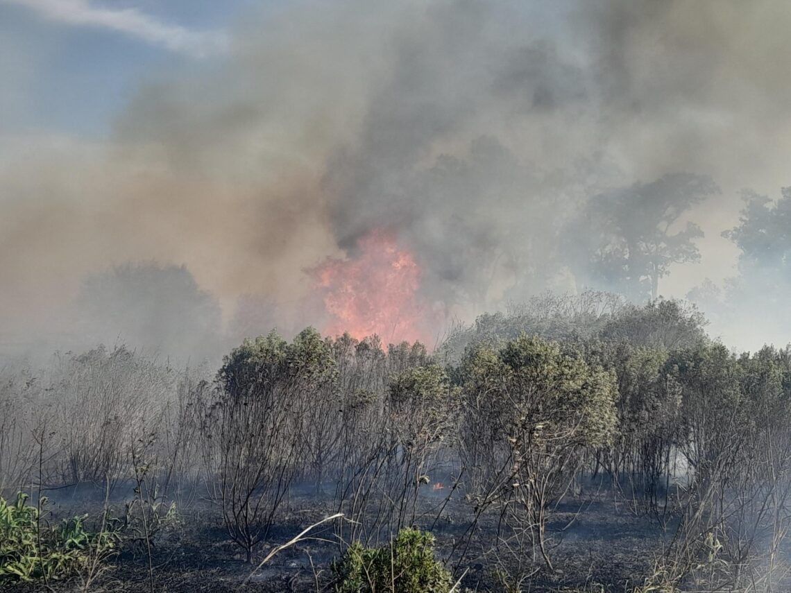 Cañada de Gómez: Impresionante incendio de gran magnitud afectó varios lotes de pastizales en la zona Norte