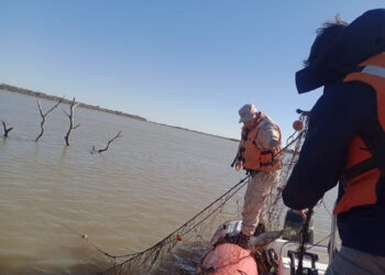 Santa Fe refuerza los controles de la actividad pesquera en Puerto Gaboto y Helvecia