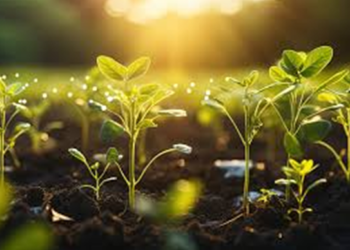 Maravillosas propiedades del sol (Parte II) – Por Ivana Isasa