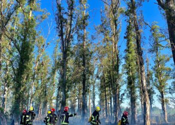 Dos incendios simultáneos en Las Trojas movilizan a los bomberos de Cañada de Gomez