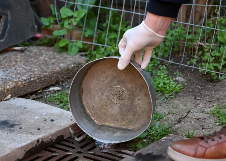 Se detectó el primer caso autóctono de dengue en la provincia de Santa Fe