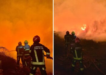 Cañada de Gómez. Todos los detalles del incendio de gran magnitud en el basural de calle La Plata