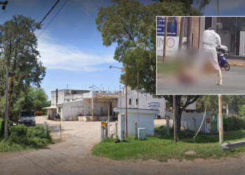 Caso del cerdo: Comunicado Oficial  de la Cooperativa de Carniceros de Cañada de Gómez