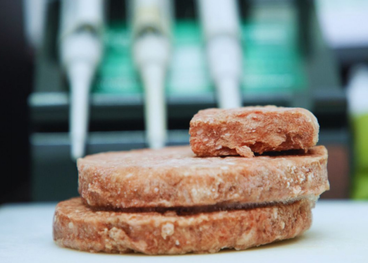 Búfalo, una carne alternativa de alto valor nutricional