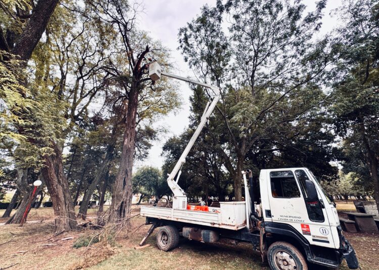 La municipalidad Cañada de Gómez realiza trabajos en Parque Municipal