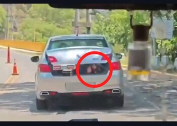 (Video) Será suspendida la licencia de conducir del juez de Catamarca que llevó a su hija en el baúl de su auto