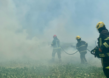 (VIDEO) Incendio Rural al Sur de la Ciudad: Tres Horas de Trabajo para Controlar las Llamas
